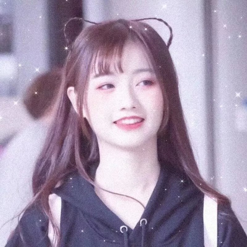 玫瑰 在线观看