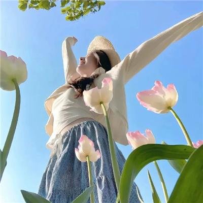 尊严殖民地 在线观看