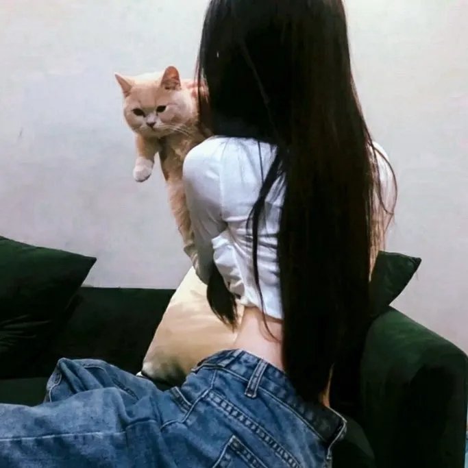 裁缝 在线观看